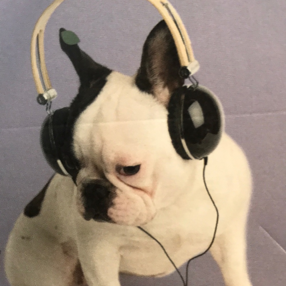 Meet your Posher, Cailey